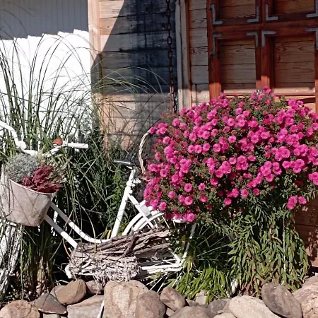 Am Alten Holzplatz شقة Drübeck