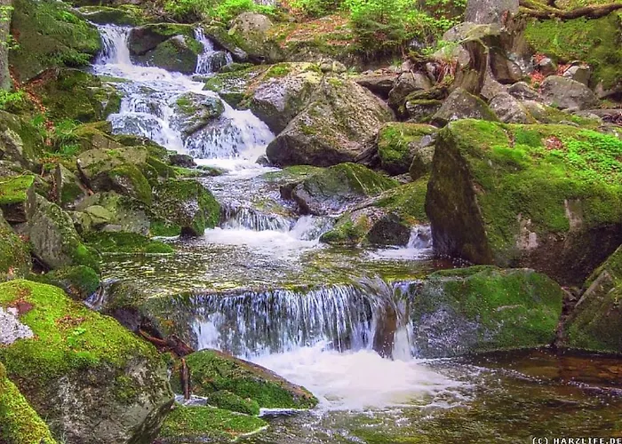 Lägenhet Am Alten Holzplatz Drübeck